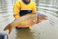 02e9c601-c495-41a8-a3e1-b98c46498c52