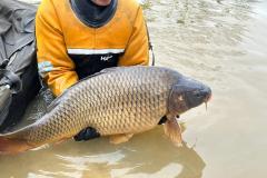 2aae195c-9960-42c5-8e56-bff650a07376