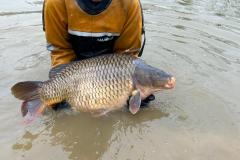 5b3ce408-bb4f-43fe-9802-8634b5859762