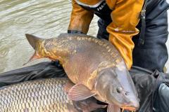 8c1cea2f-7009-4171-a07e-e82cdf33686c